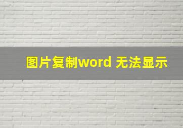 图片复制word 无法显示